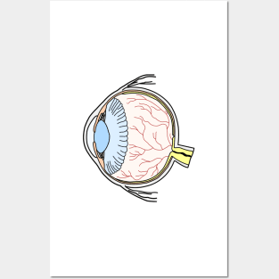 Colorful Eyeball Line Art Large Posters and Art